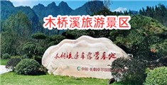 xxxxse操东北屄